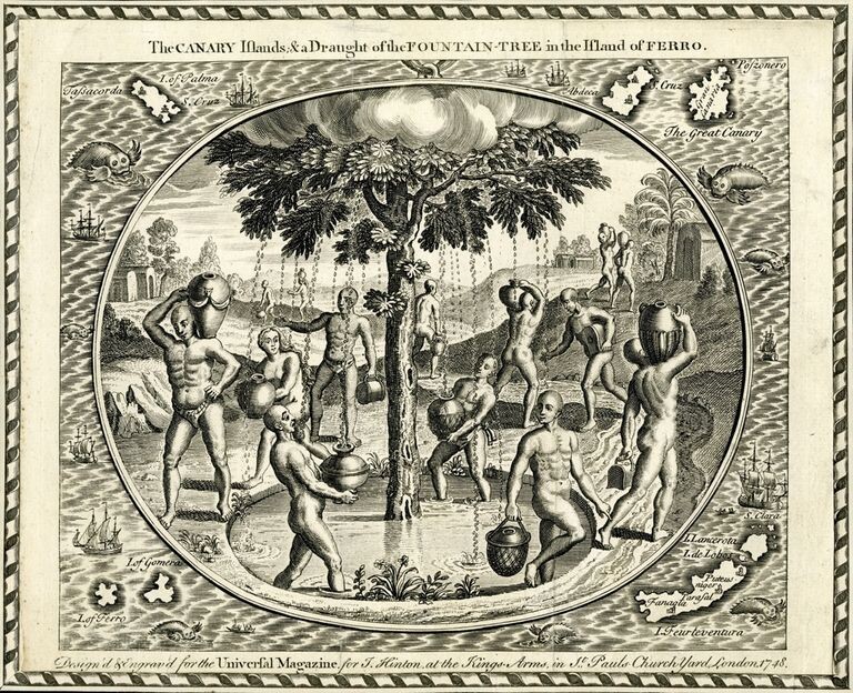 1748 Hinton Sacred Rain Tree