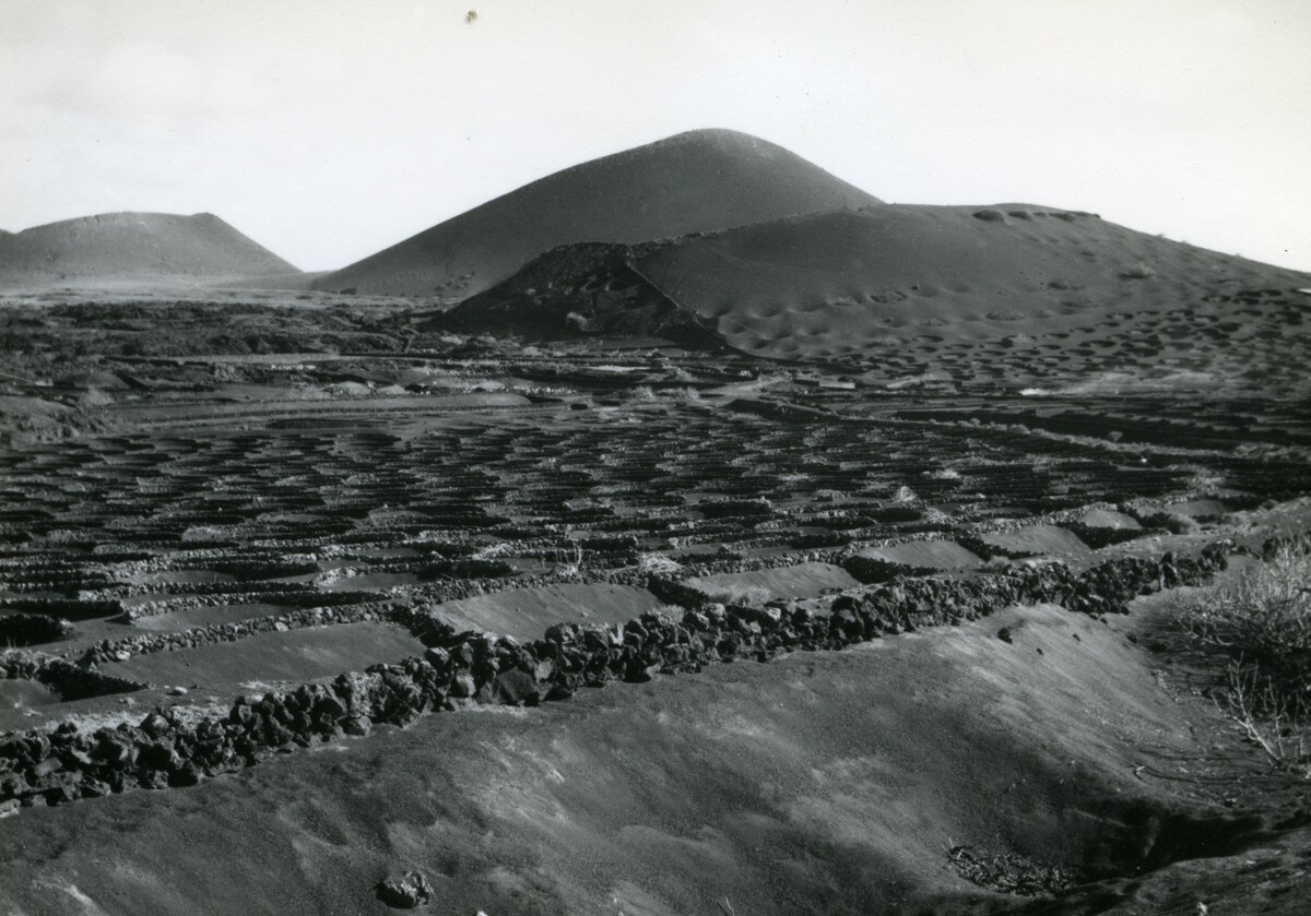 1965 Kunkel cultivos jable