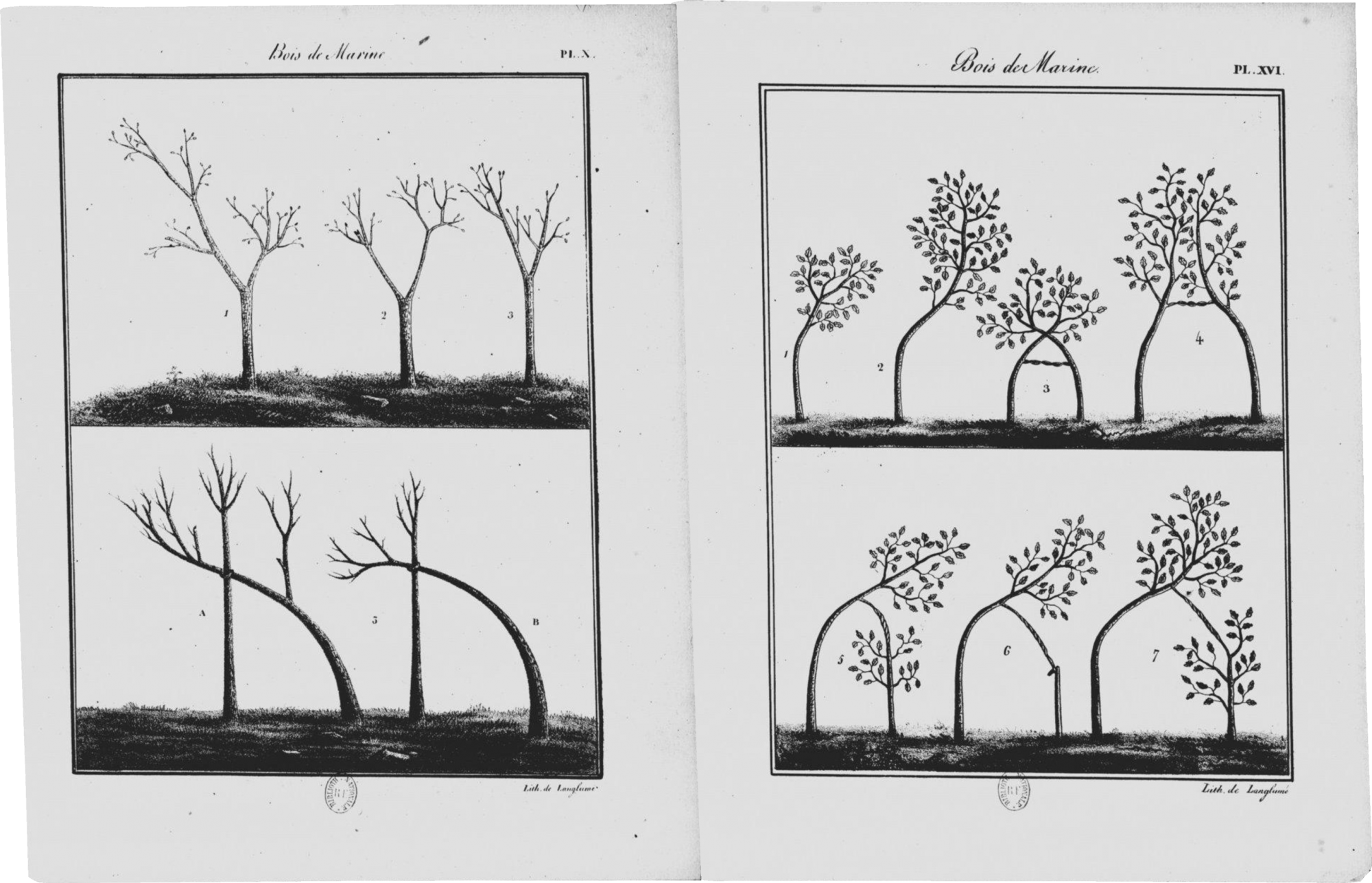 1824 Baudrillart Traite eaux forets