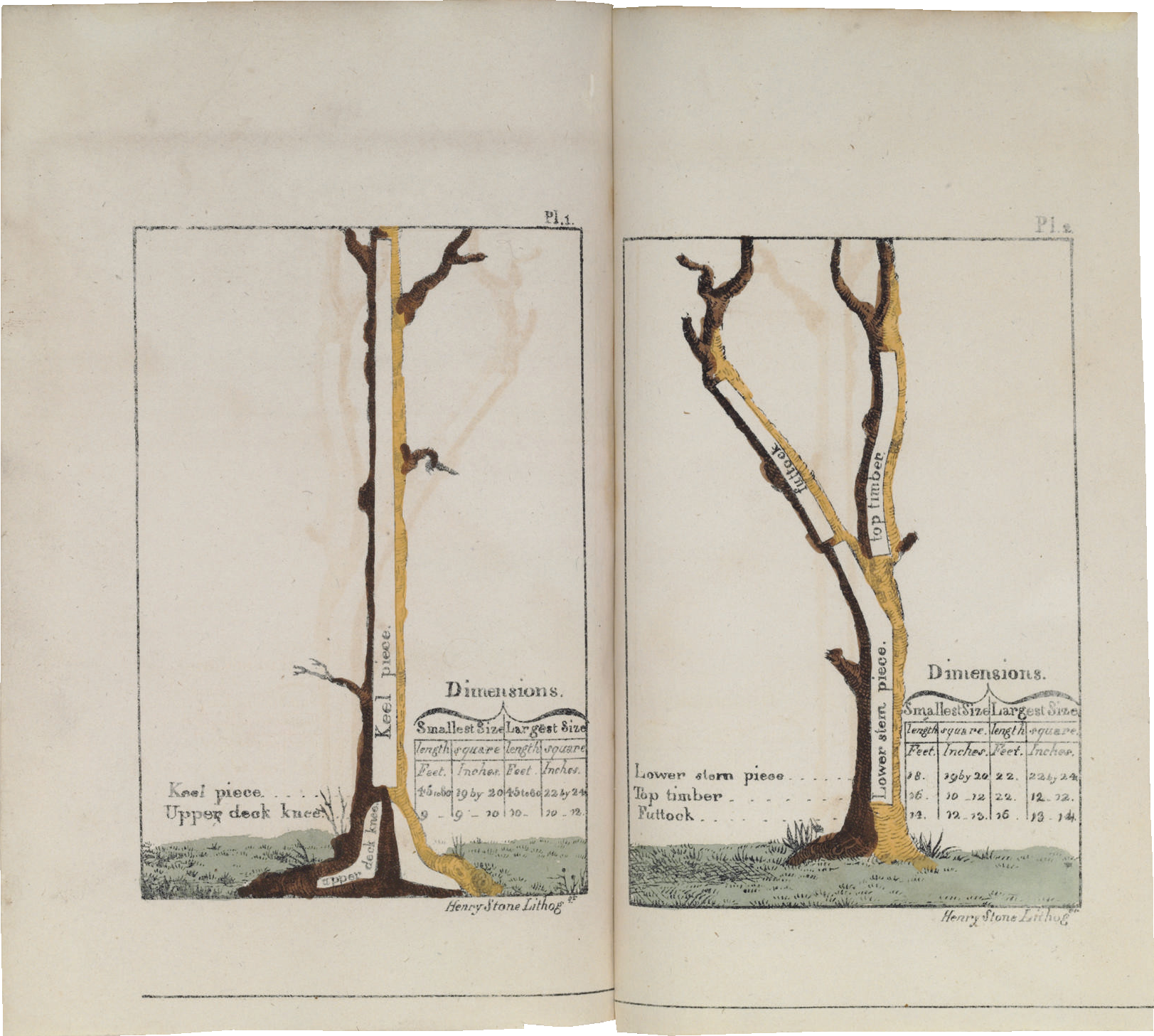 1823 Guillet Timber Guide