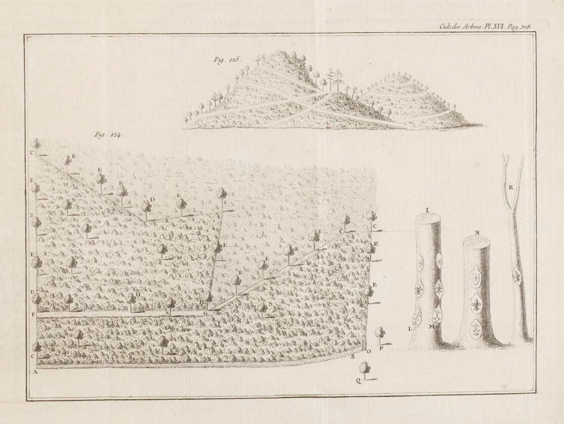 1780 du Monceau semis et plantations royal marks