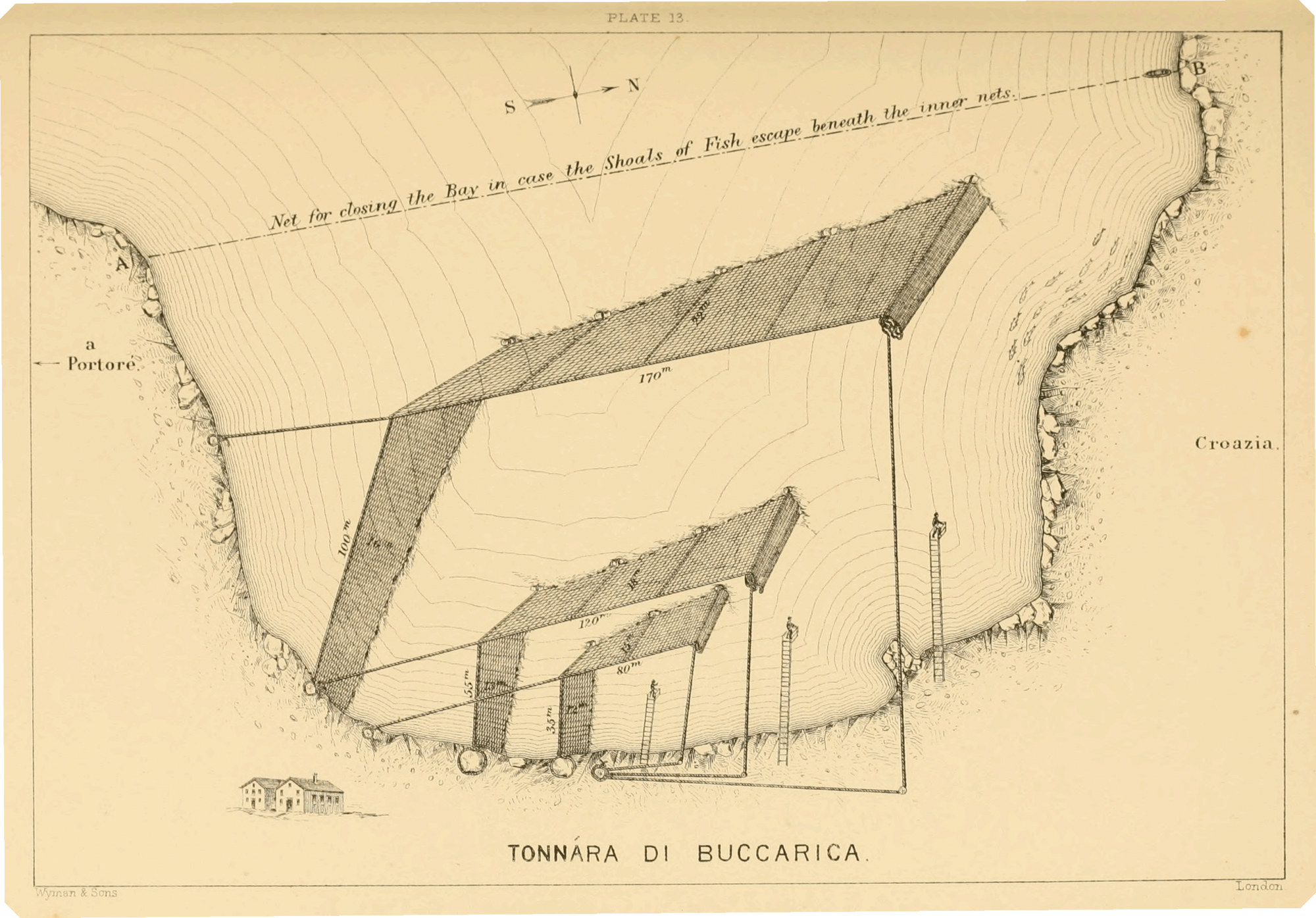 Faber 1883 fisheries adriatic plan