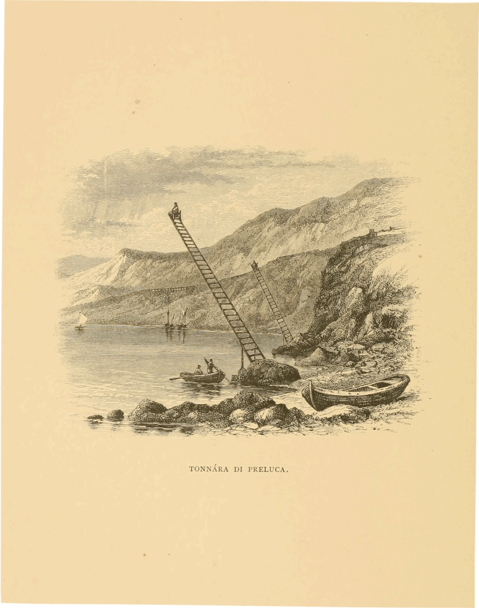 Faber 1883 fisheries adriatic view