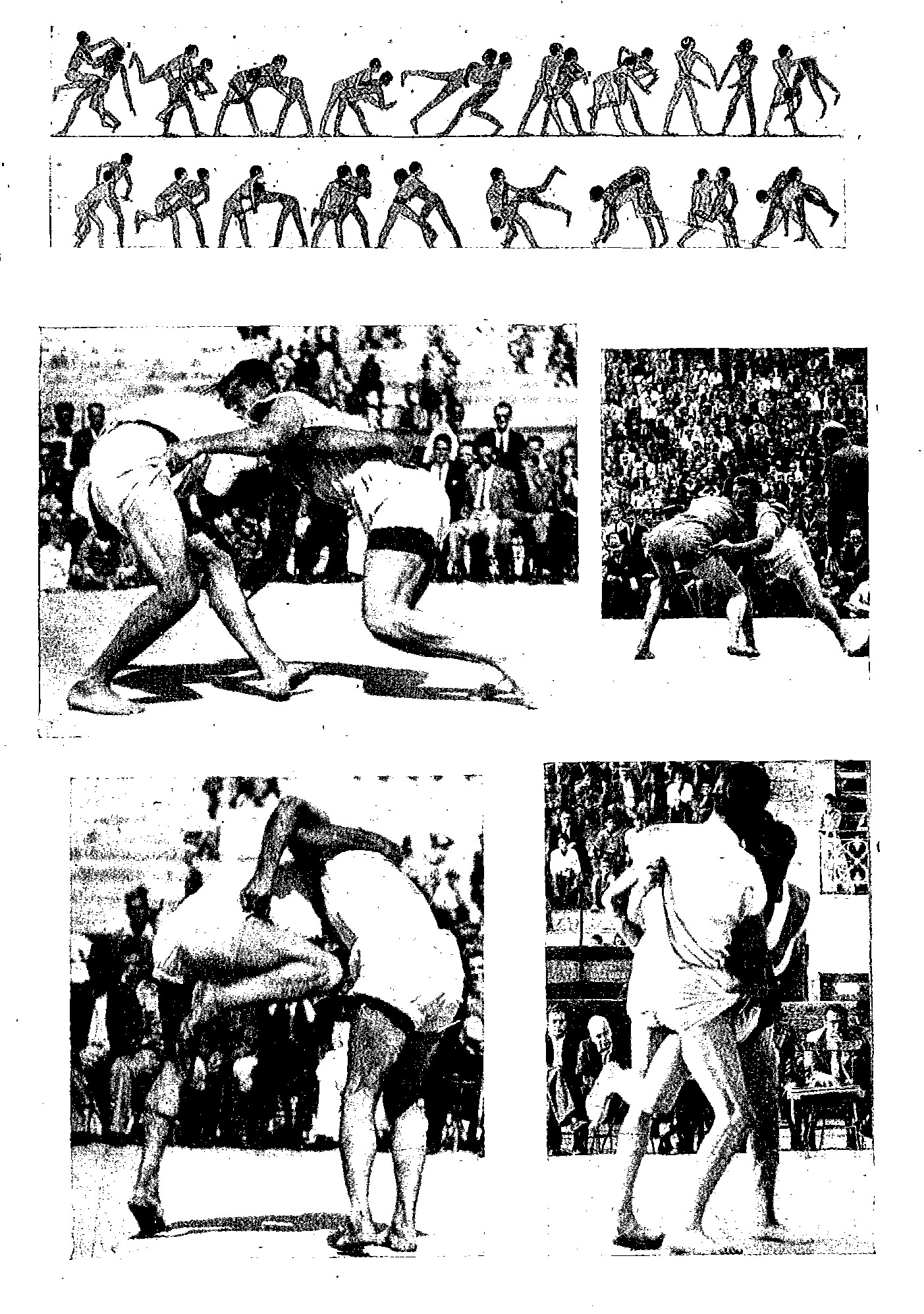 1945 Delgado Canary Egypt fight