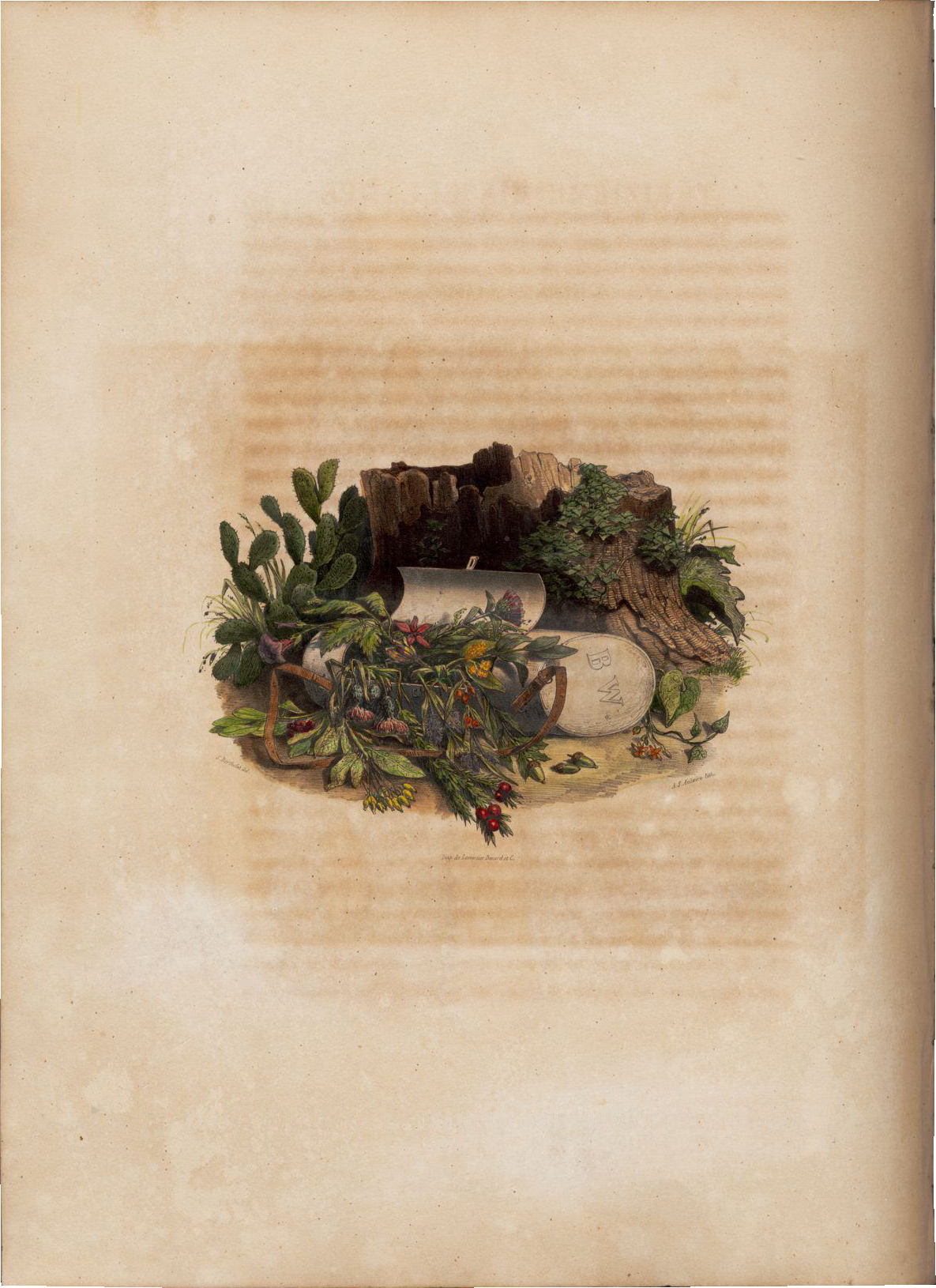 1839 Barker Herborisation