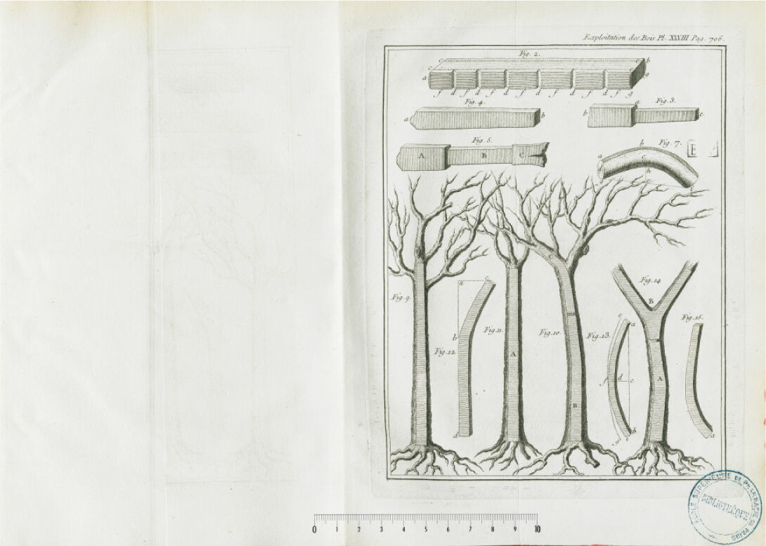 1764 du Monceau exploitation bois p 23