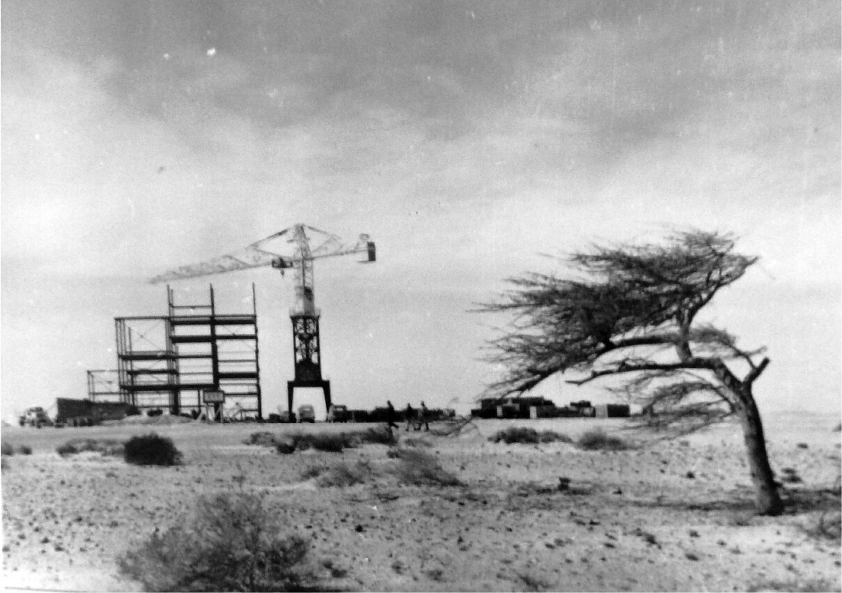 arbol_BuCraa_mine