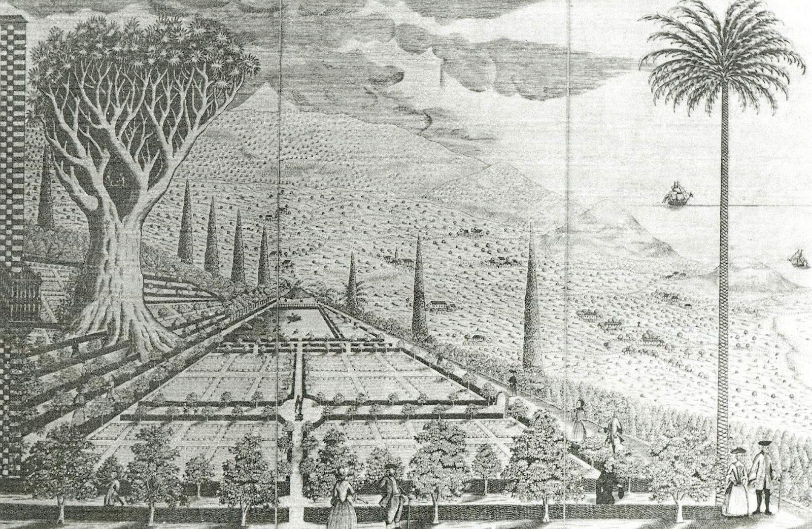 1770 Cattoir Freudenberg Orotava Gardens